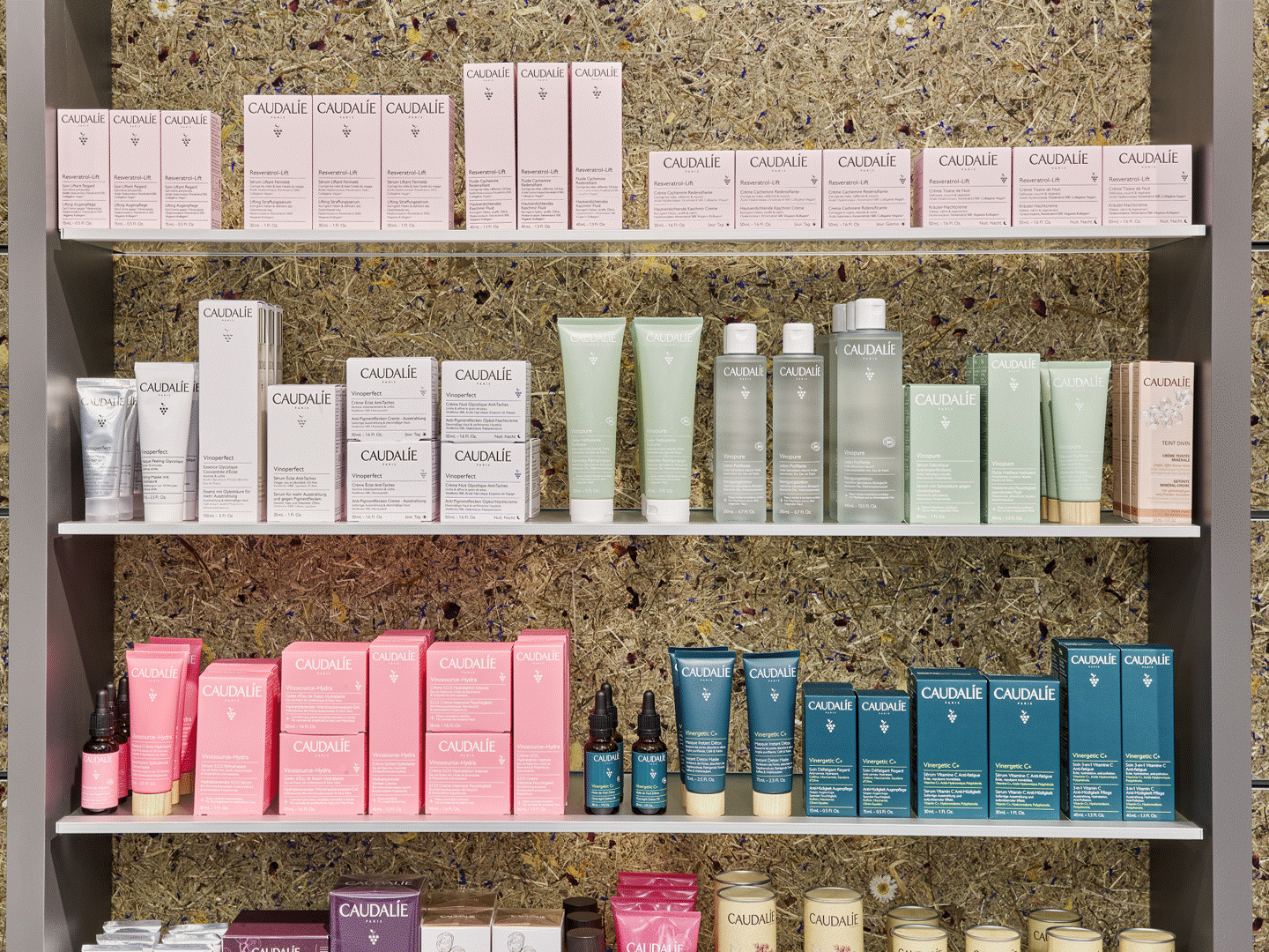 Detail view of a shelf equipped with beauty products.