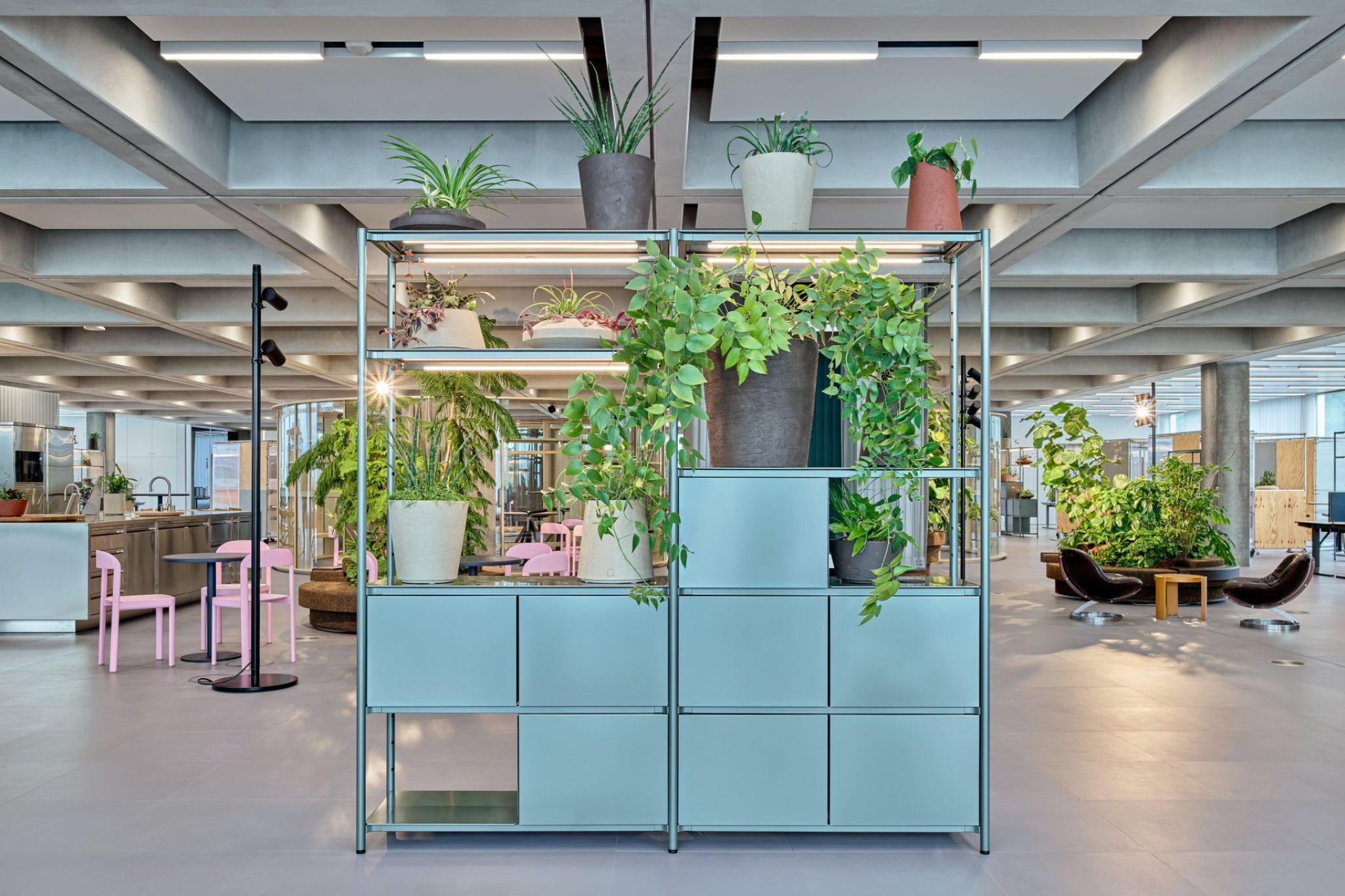 Large room with a blue shelving system in the foreground with various seating areas in the background.