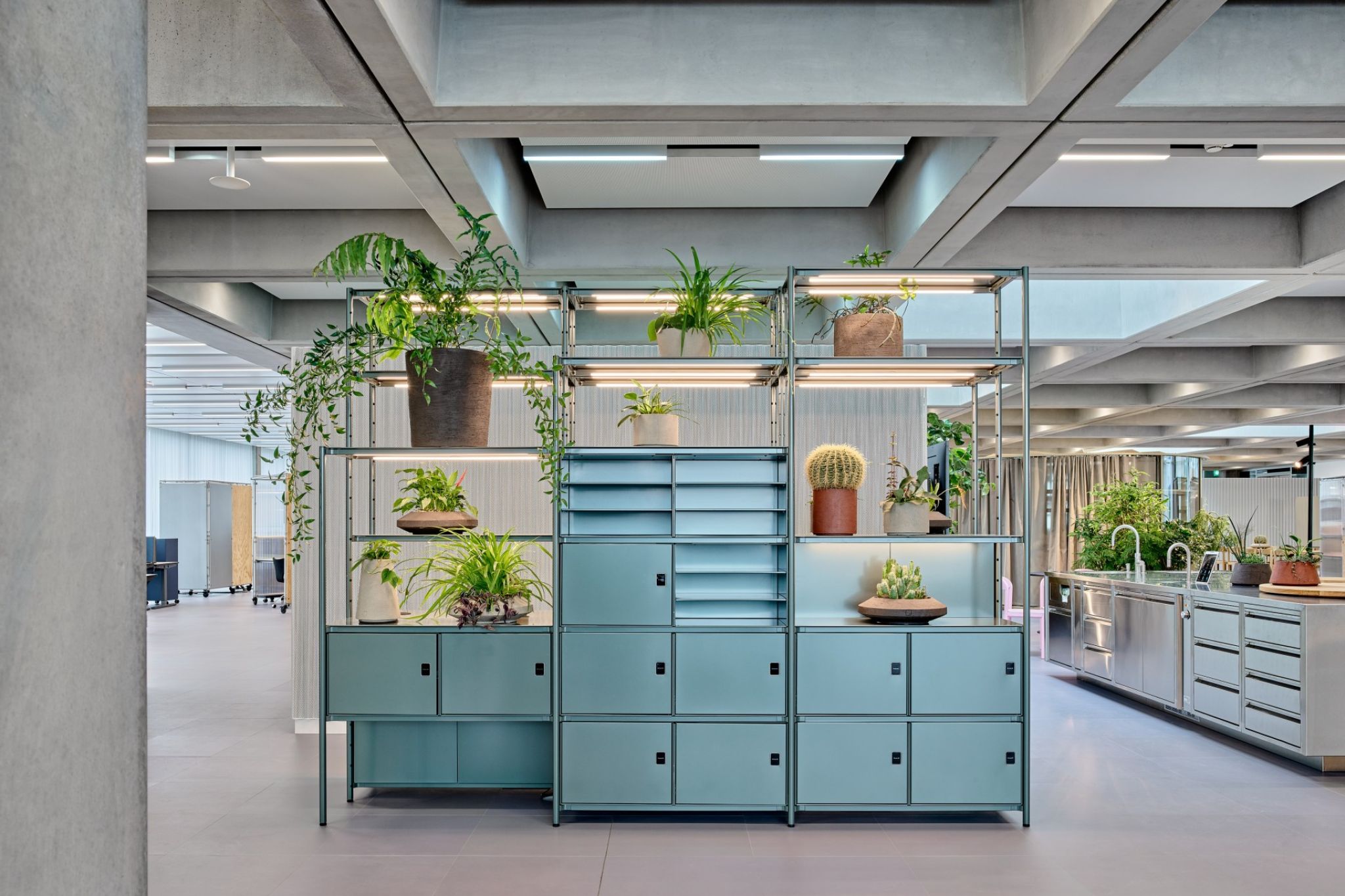 Light blue shelving system in an office.